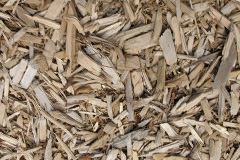 biomass boilers Cross Oak